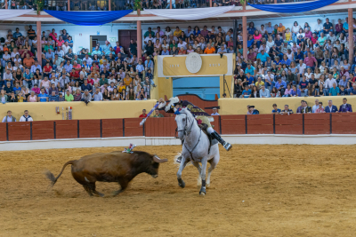 Festa de Toiros